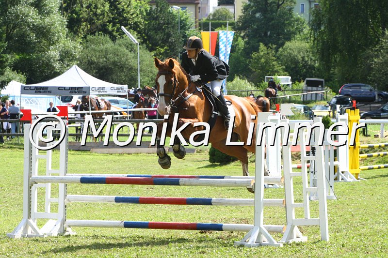 007L9204_Spirit Link_Punktespringen  Ax.JPG